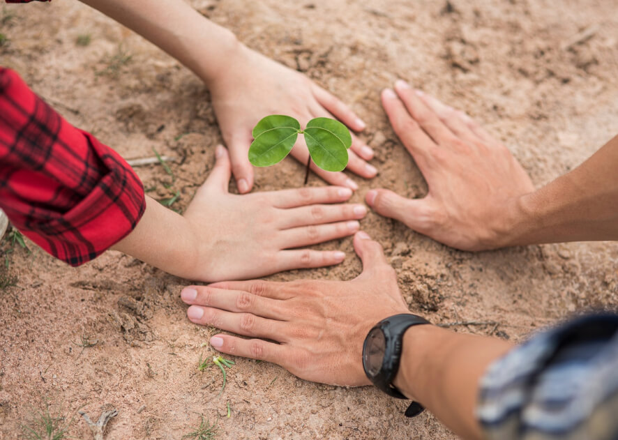 Men and women help grow trees