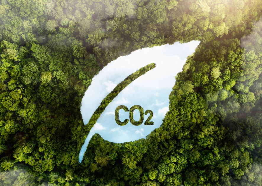 View green forest trees with CO2